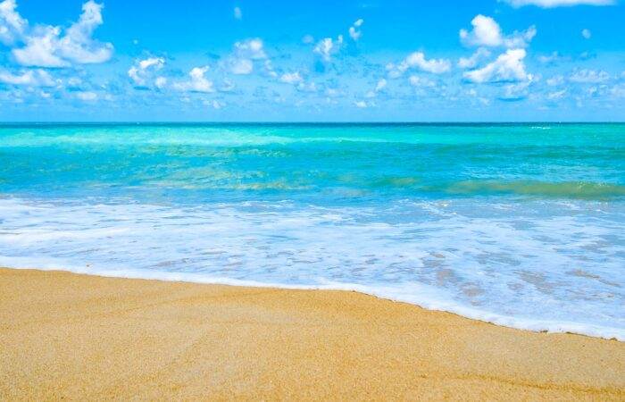 alawyersvoyage beaches in pondicherry