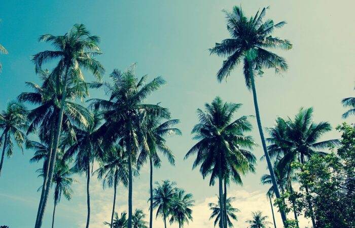 alawyersvoyage Andaman Pic