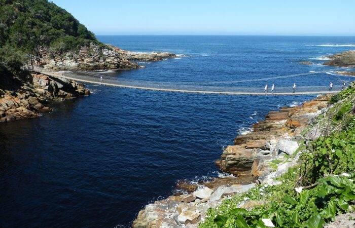 Suspension bridge in South Africa extending over a lush gorge with forested surroundings and clear blue skies.