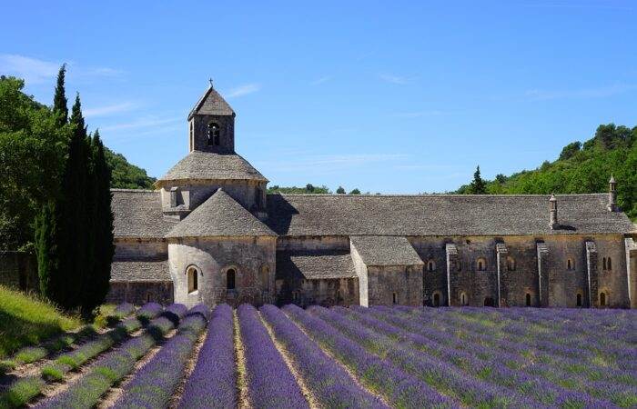 alawyersvoyage Lavender field