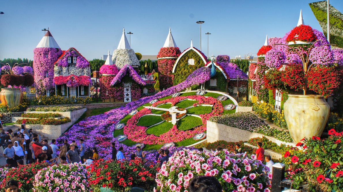 Dubai Attractions - Miracle Garden