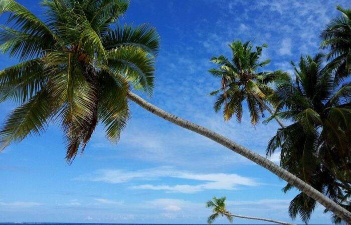 Scenic view of Maldives beach with overwater villas, turquoise water, and a serene tropical backdrop