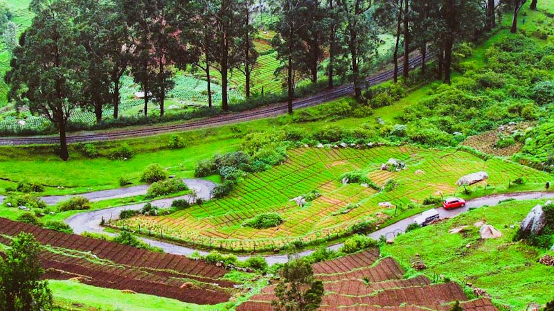 Ooty Itinerary