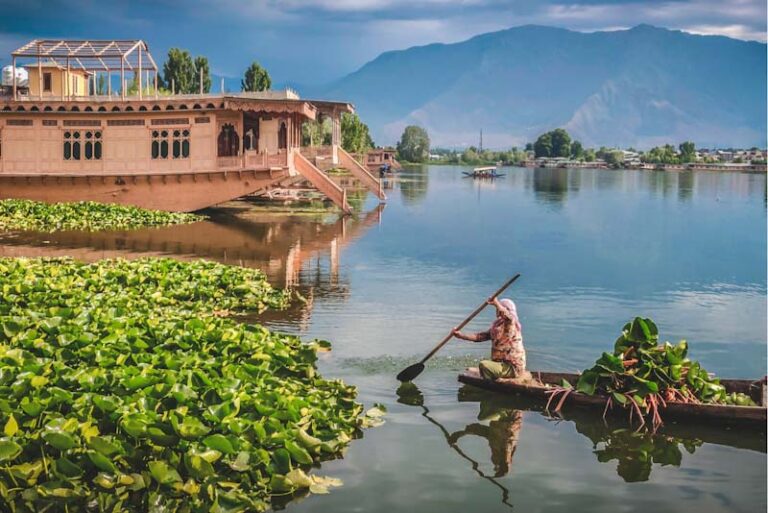 An Epic 7Day Kashmir Itinerary A Lawyer's Voyage