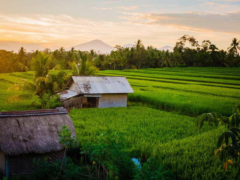 places to visit in Bali