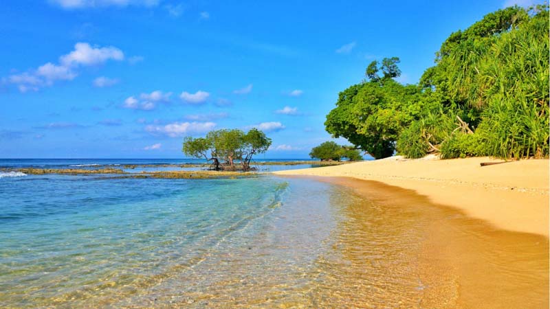 Andaman - best places to visit in January in India 